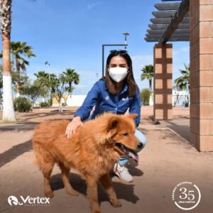 172346542_1166815093732894_1261766371000352966_n